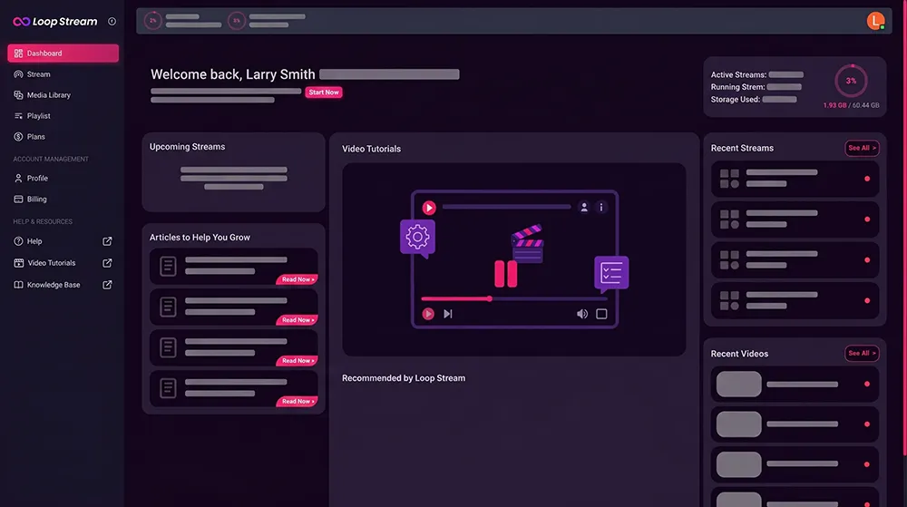 Loop Stream dashboard interface showing streams panel, playlist management, and live status indicator
